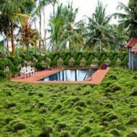 Hotel Bombay Tiffanys Mysore Luaran gambar